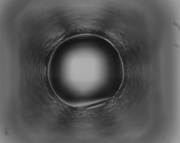 X0000091891061200709121435