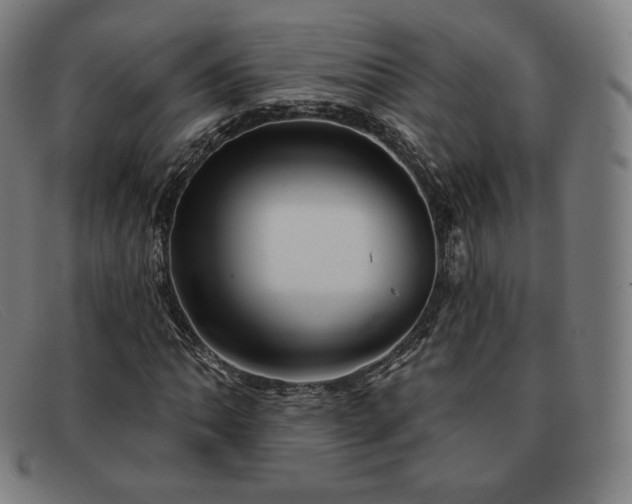 X0000091891062200709121435