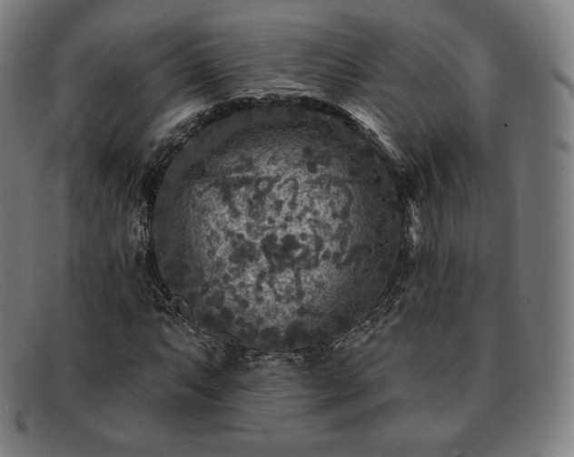 X0000091891063200709121435