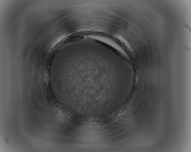 X0000091891064200709121435