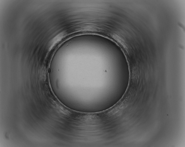 X0000091891067200709121435