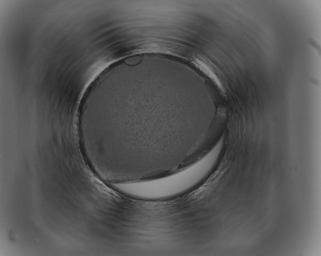X0000091891068200709121435