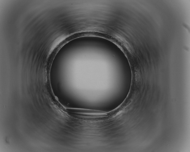 X0000091891069200709121435