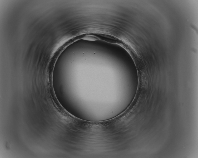 X0000091891070200709121435