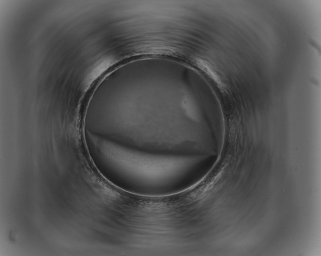 X0000091891071200709121435