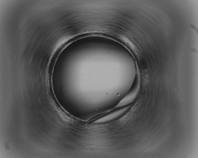 X0000091891072200709121435