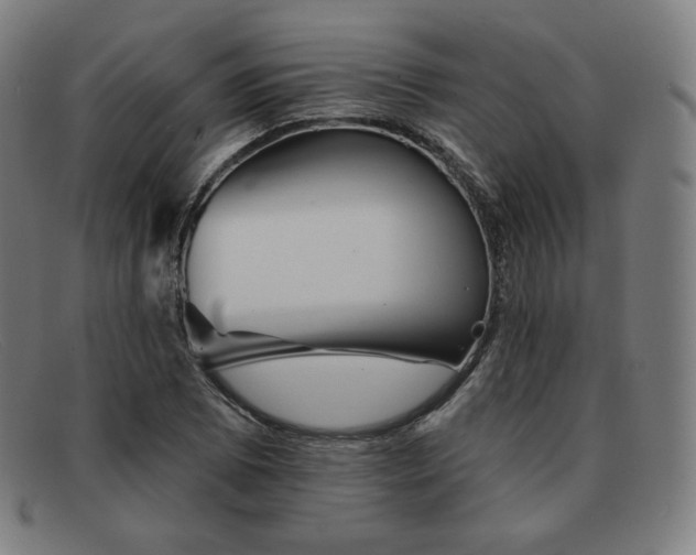 X0000091891073200709121435