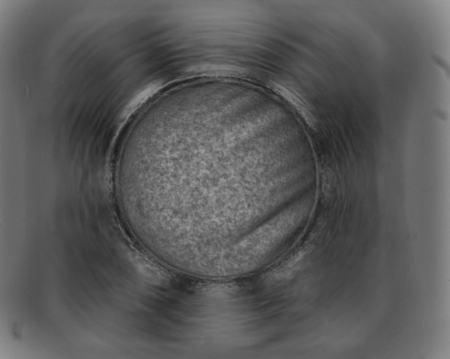 X0000091891074200709121435
