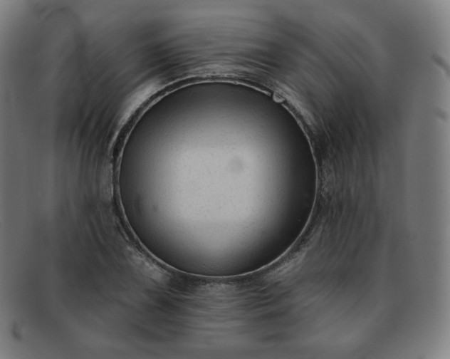 X0000091891075200709121435