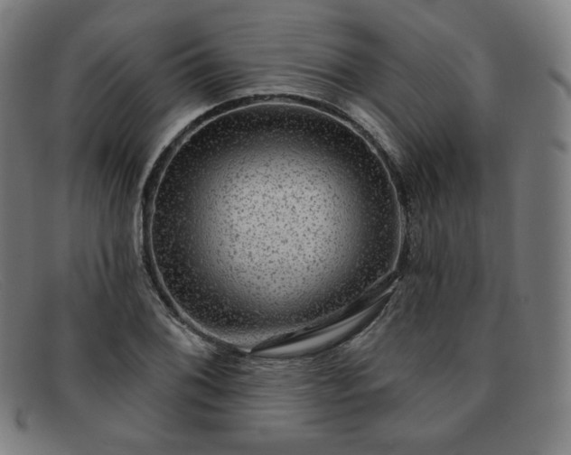 X0000091891076200709121435