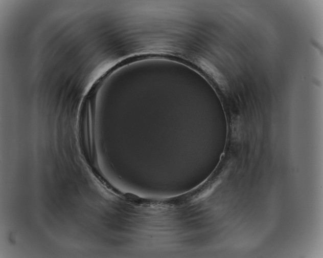 X0000091891077200709121435