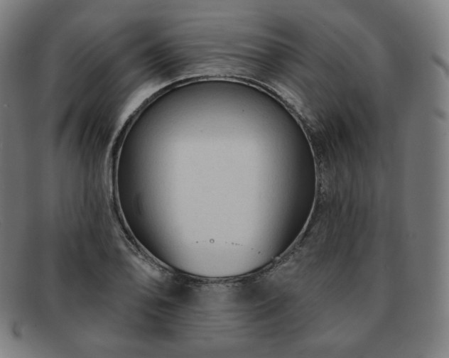 X0000091891078200709121435