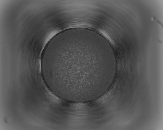 X0000091891079200709121435