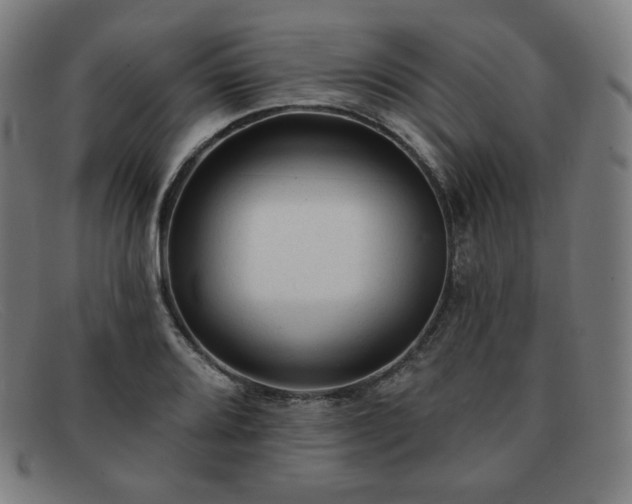 X0000091891080200709121435