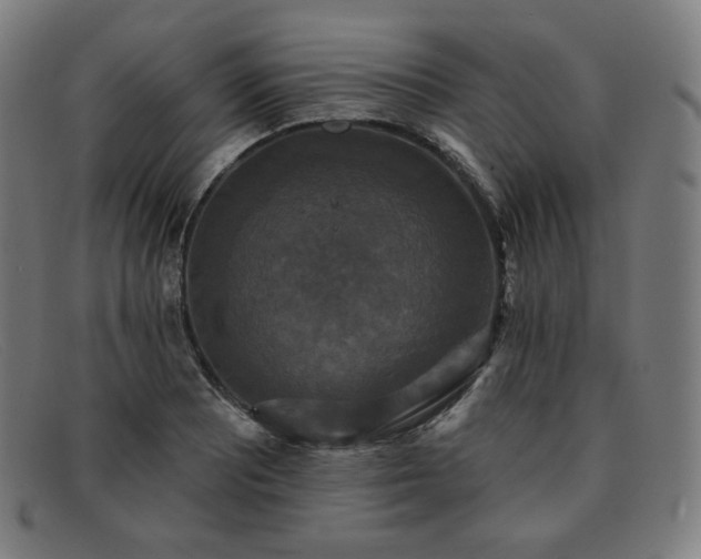 X0000091891081200709121435