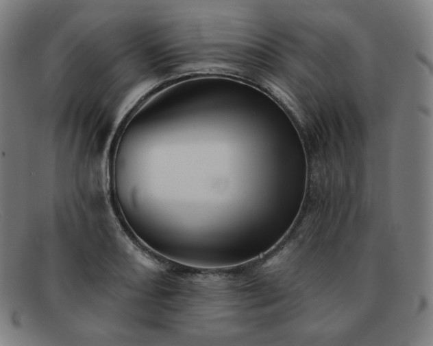 X0000091891082200709121435