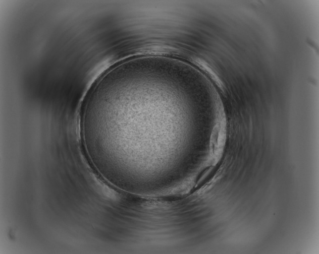 X0000091891083200709121435