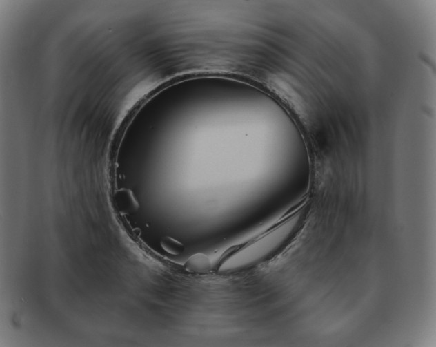 X0000091891085200709121435