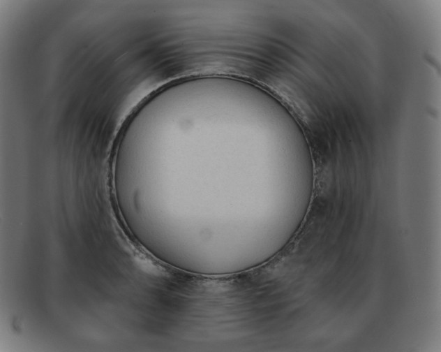 X0000091891086200709121435