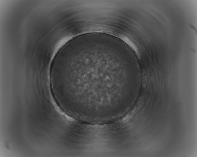 X0000091891088200709121435