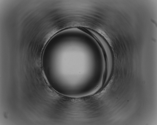 X0000091891089200709121435