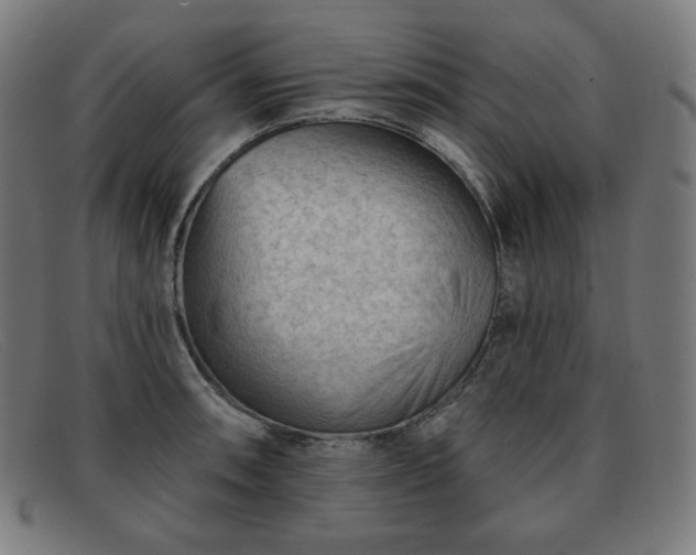 X0000091891090200709121435
