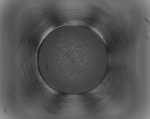 X0000091891091200709121435