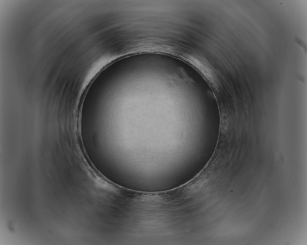 X0000091891094200709121435