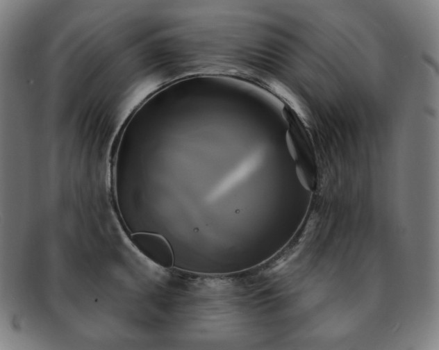 X0000091891095200709121435