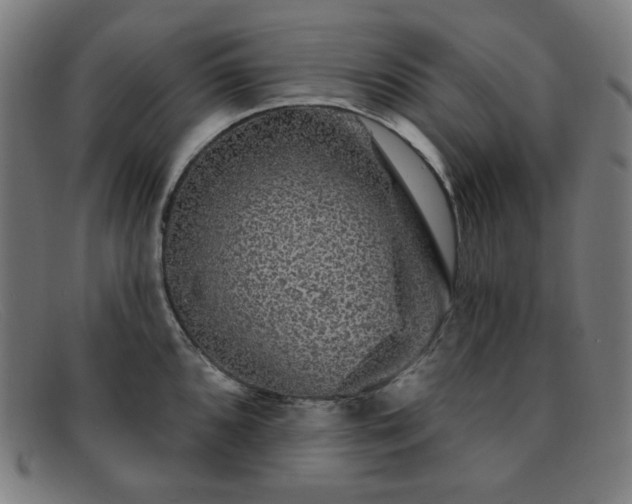 X0000091891096200709121435