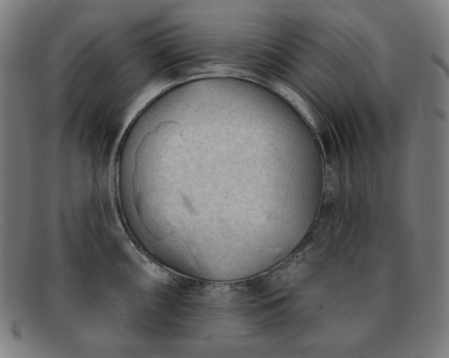 X0000091891098200709121435