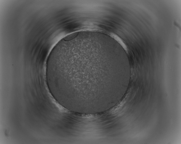 X0000091891099200709121435