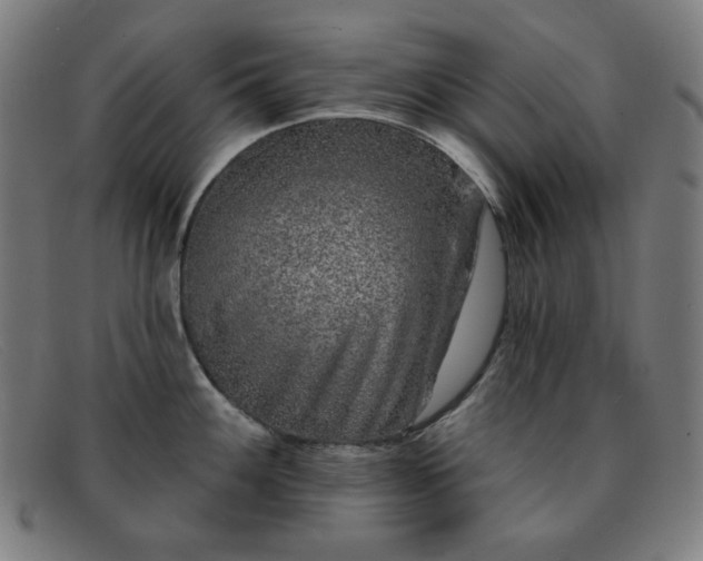 X0000091891100200709121435