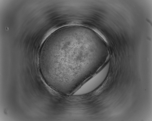 X0000091891101200709121435