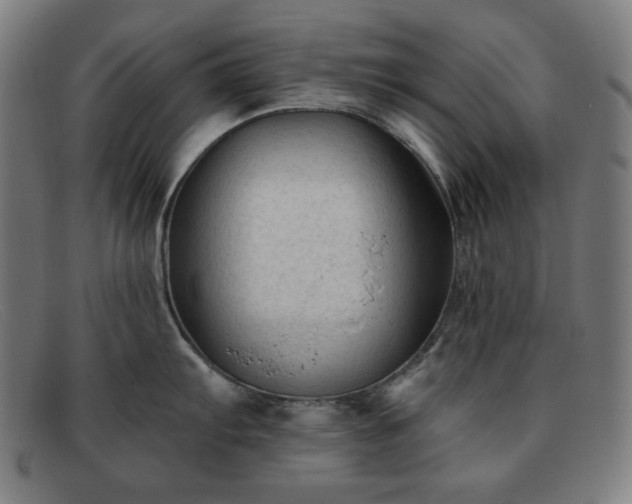 X0000091891103200709121435