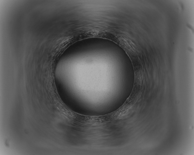 X0000091891105200709121434