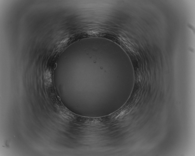 X0000091891106200709121434
