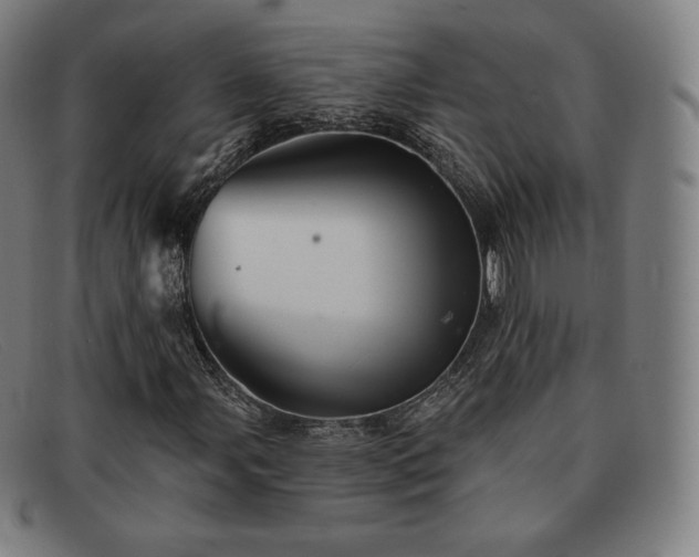X0000091891107200709121434