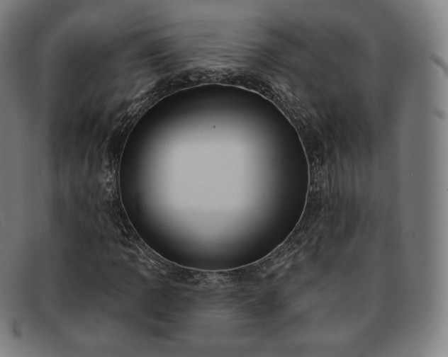 X0000091891109200709121434