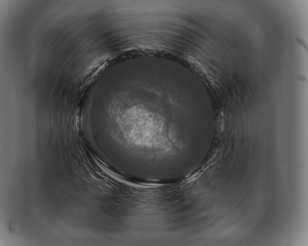 X0000091891110200709121434