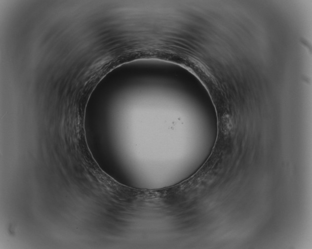 X0000091891111200709121434