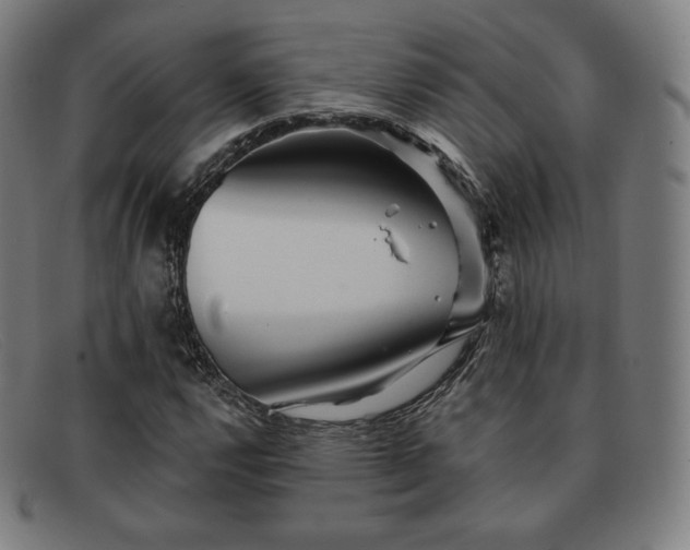 X0000091891112200709121434