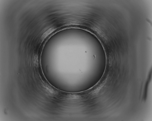 X0000091891113200709121434