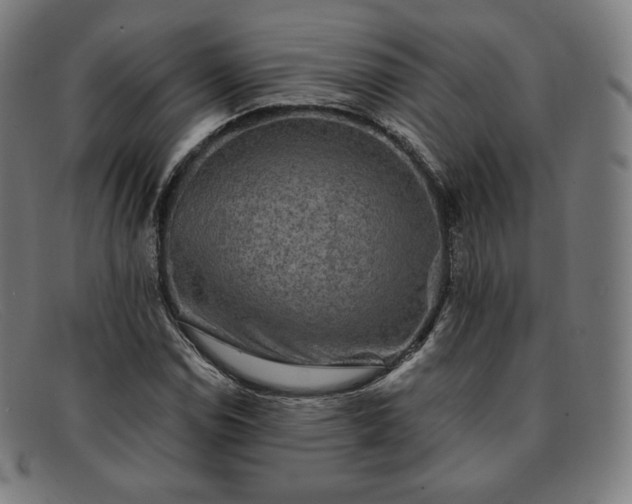 X0000091891114200709121434