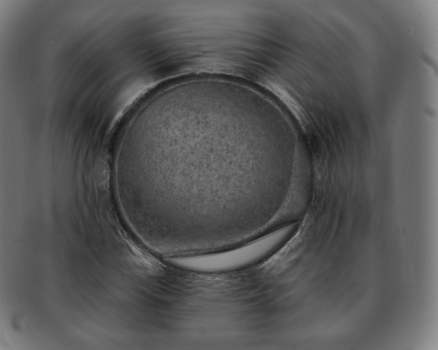 X0000091891115200709121434