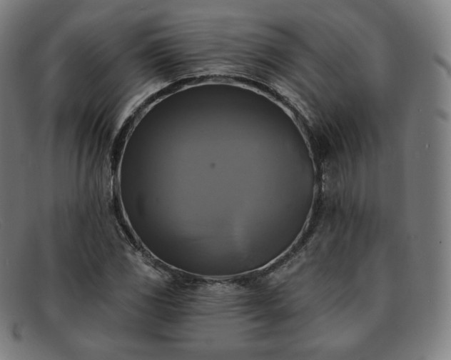 X0000091891117200709121434