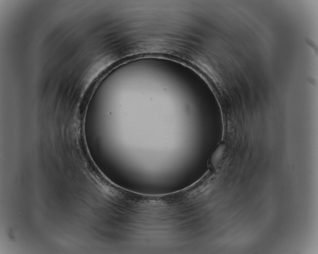 X0000091891119200709121434