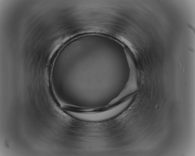 X0000091891120200709121434