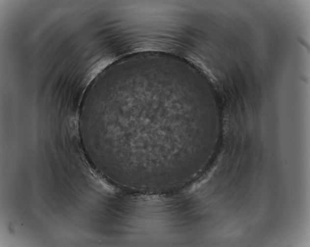 X0000091891121200709121434
