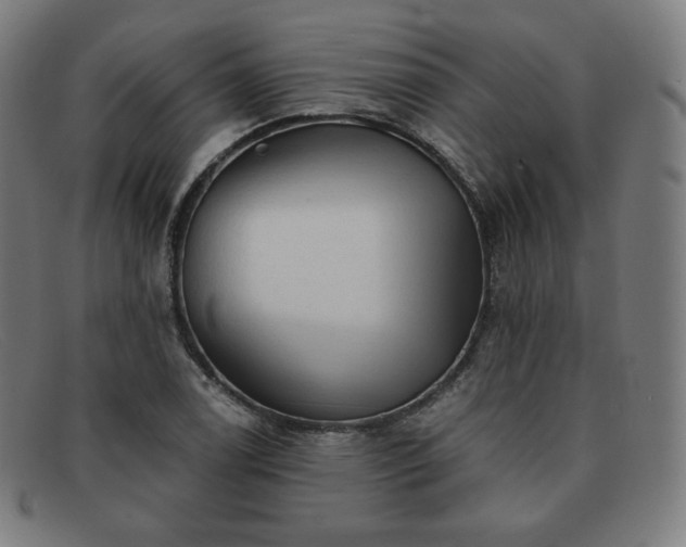X0000091891122200709121434